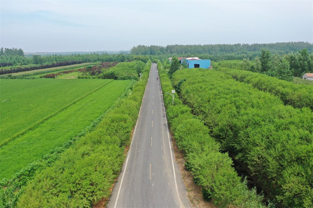 喜报沭阳县桑墟镇荣获2022年度全市推进高质量发展先进乡镇喜报沭阳县