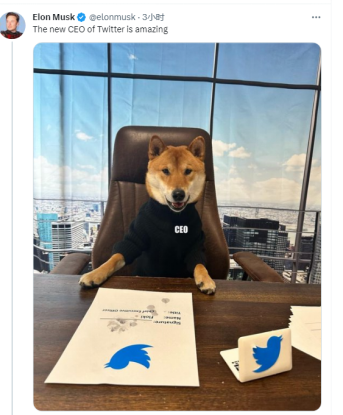 马斯克发推称宠物狗是“推特新CEO”：“它非常适合这份工作”沪江网校和新东方英语哪个好2023已更新(新华网/今日)沪江网校和新东方英语哪个好