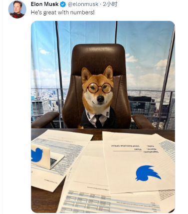 马斯克发推称宠物狗是“推特新CEO”：“它非常适合这份工作”沪江网校和新东方英语哪个好2023已更新(新华网/今日)沪江网校和新东方英语哪个好