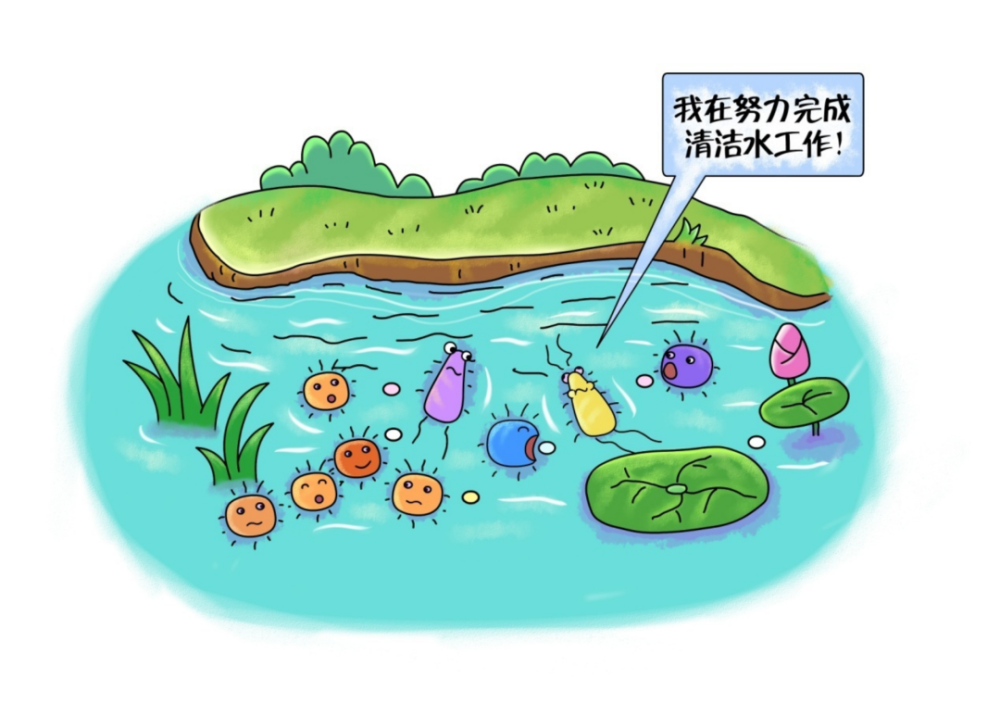 环保科普丨水环境——什么是水体的自净?_腾讯新闻