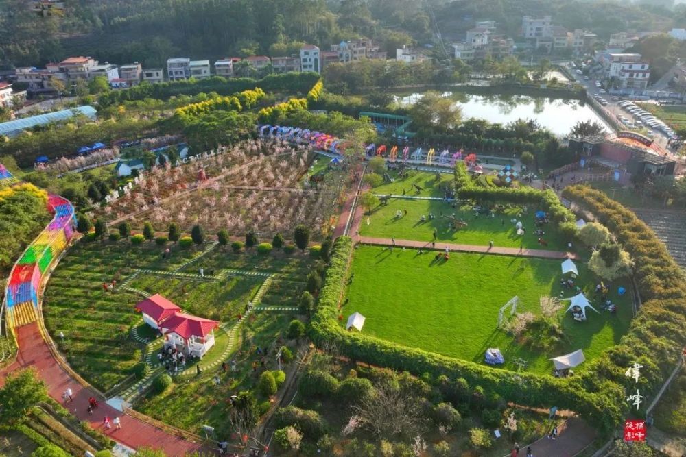 增城大埔围村又登上央视啦!这次的关键字是……_腾讯新闻