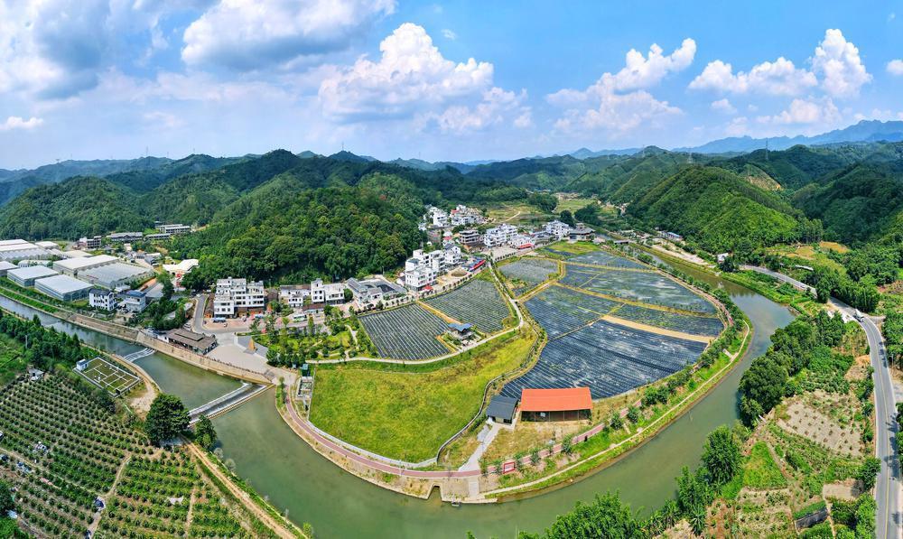 乡村周记丨云浮郁南宝珠镇荔枝年产值超8000万元;广东各地推动县镇村