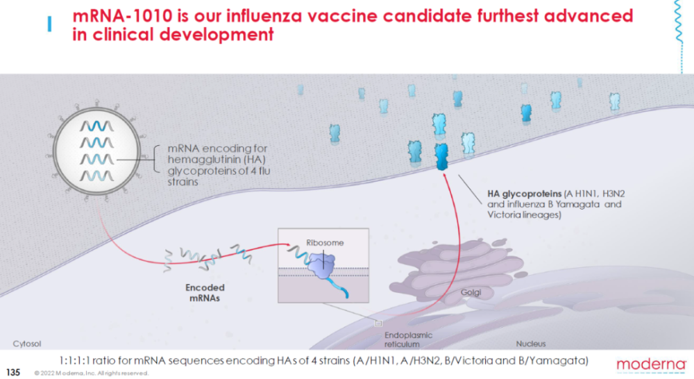 Mrna流感疫苗大型3期试验结果出炉！moderna的下一步是… 腾讯新闻