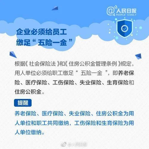 S31更新时间预览，限定2选1，花嫁夺宝20号结束，免费皮肤记得领开言英语全套课程百度云2023已更新(网易/今日)