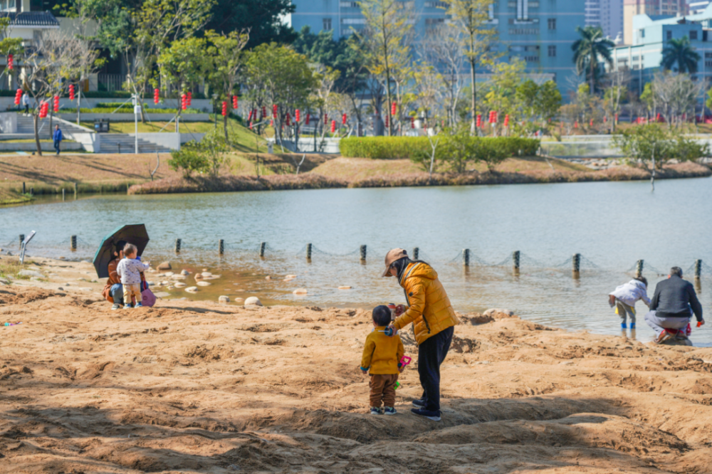 定岗湖湿地公园细听大自然的喃喃低语