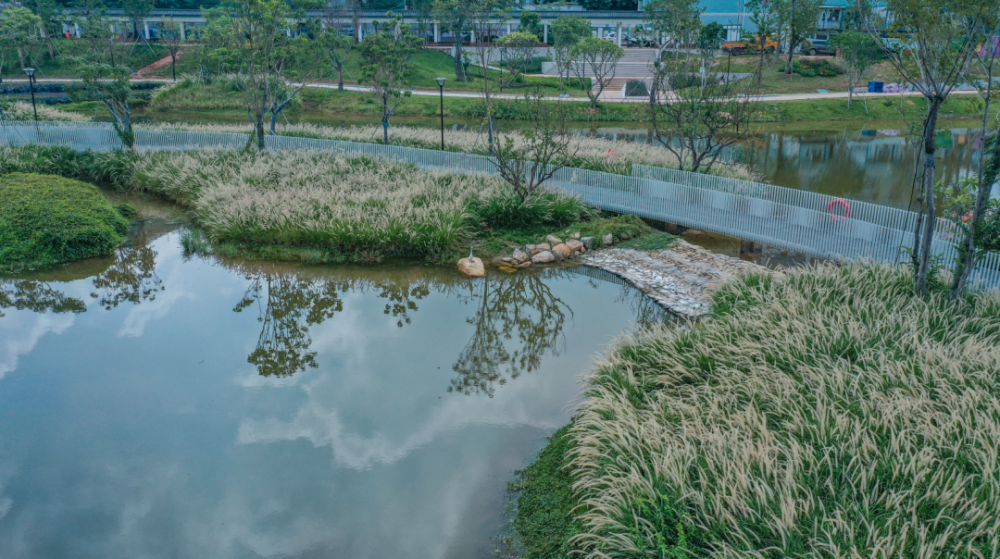 定岗湖湿地公园细听大自然的喃喃低语