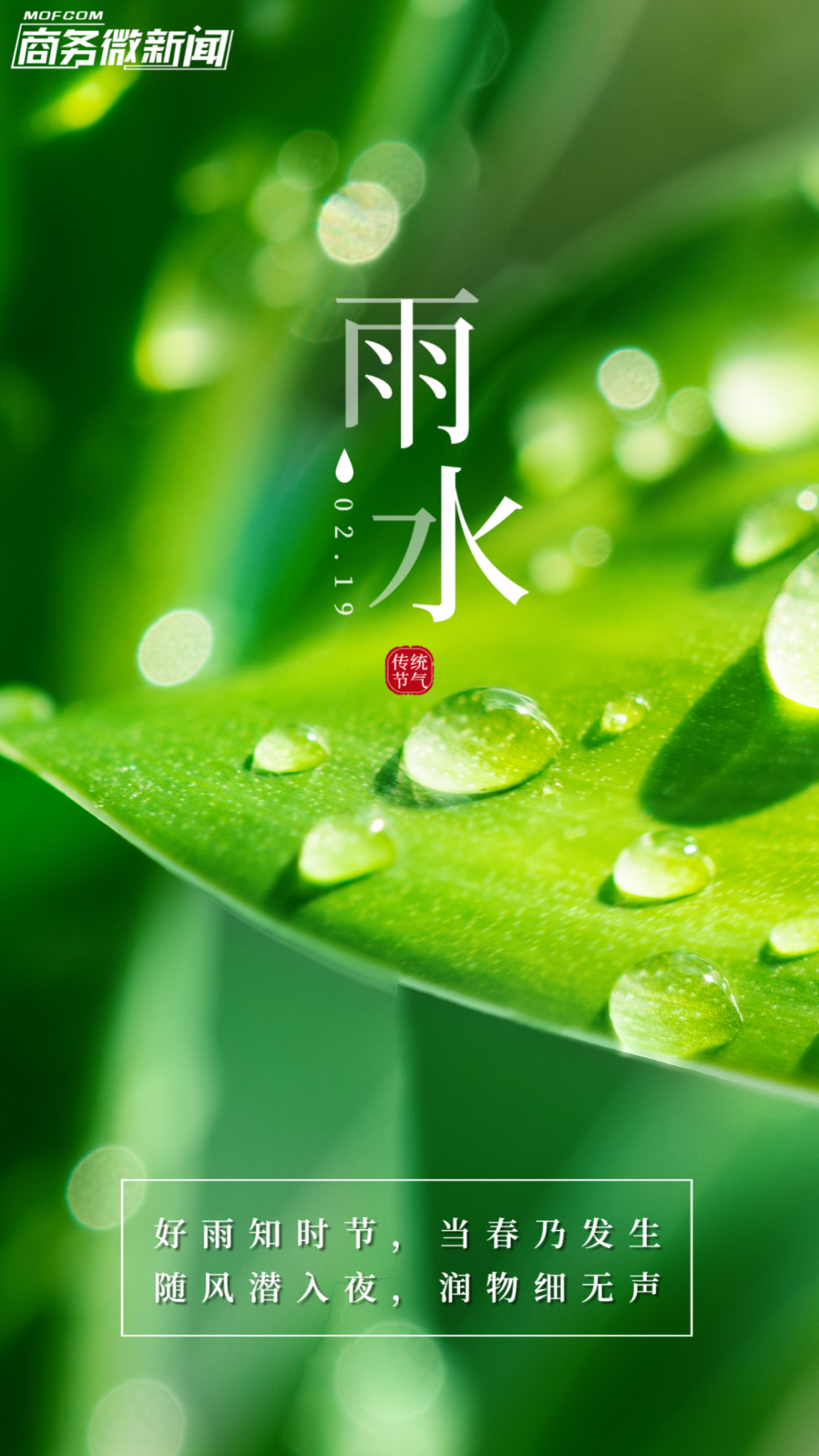 二十四节气|今日雨水