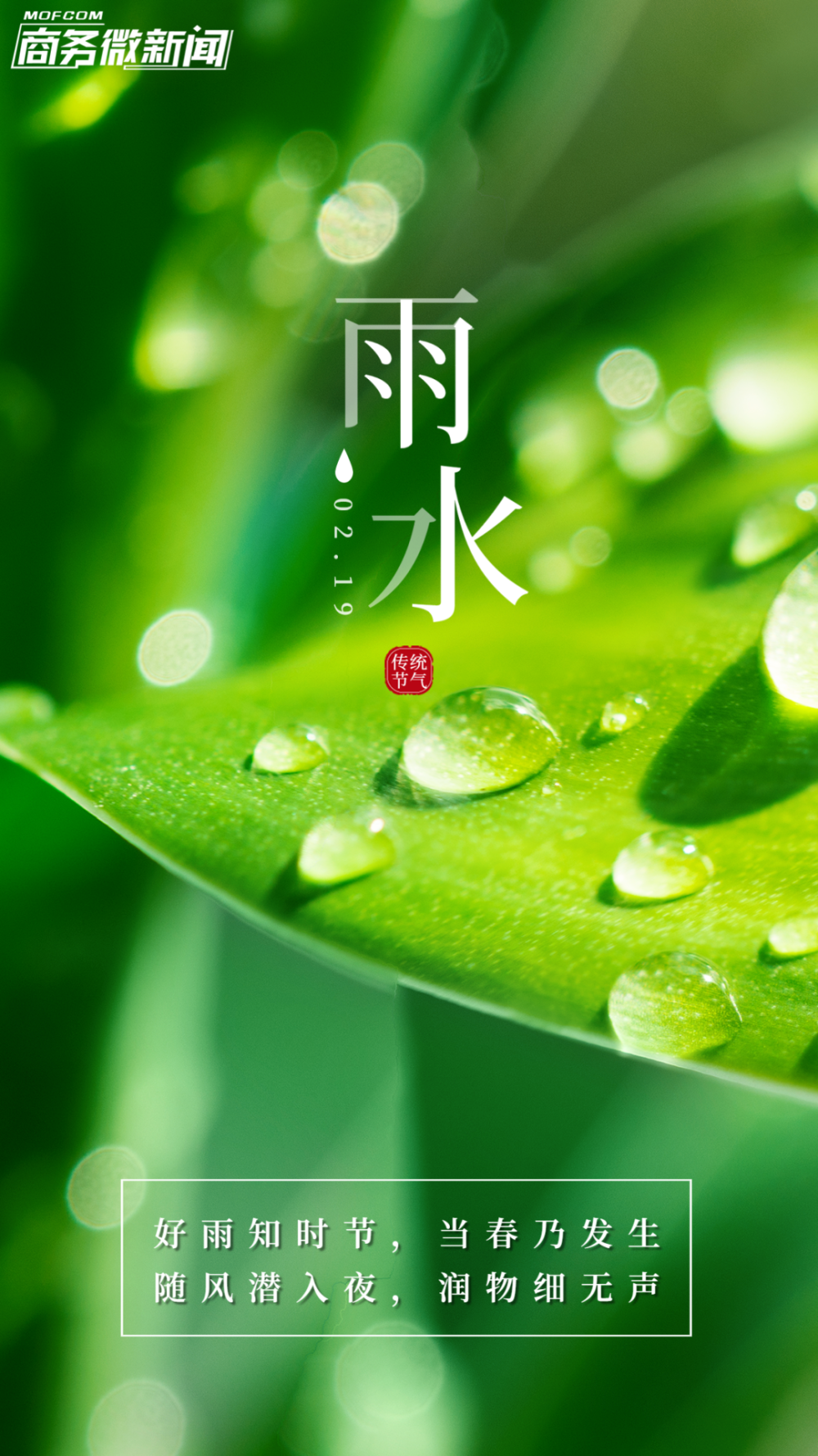 雨水图片大全最新节气图片