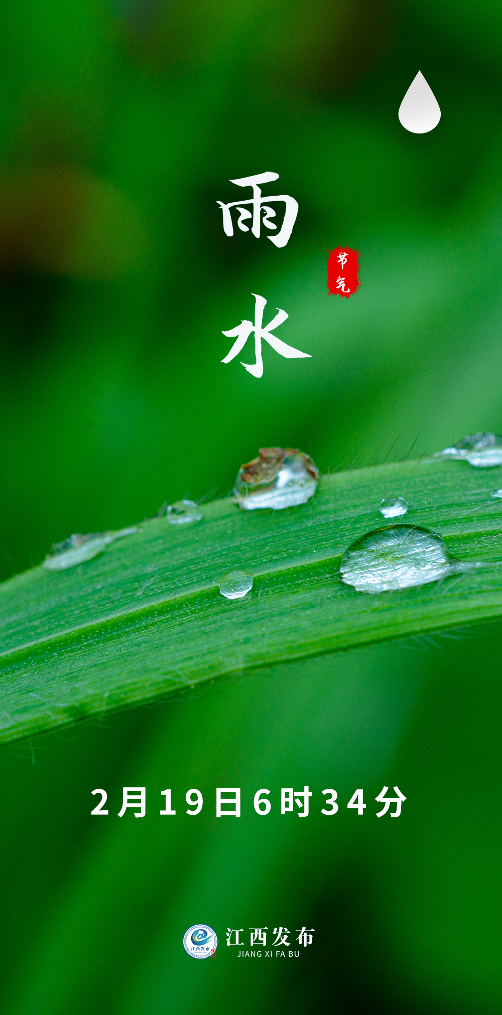 雨水图片大全最新背景图片