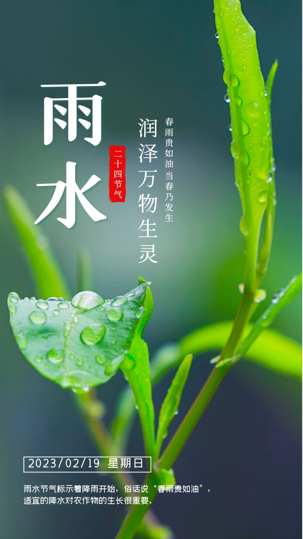 今日雨水|春回大地 万物复苏