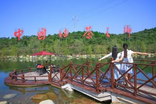 踏春好去处玉屏茶花泉等你来玩