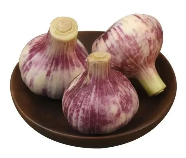 山西有看头|《物产篇》之应县紫皮蒜