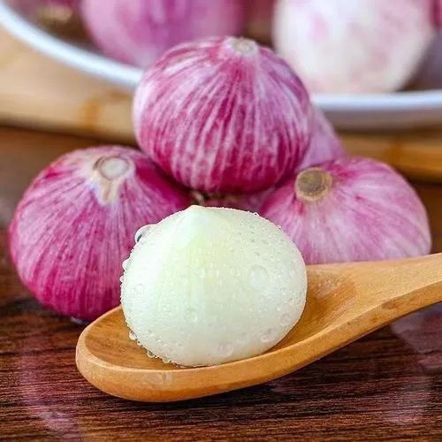 山西有看头|《物产篇》之应县紫皮蒜