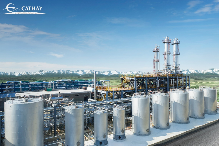 ChatGPT碰合成生物学，AI能否引领生物新革命？一亿投资下，蛋白质设计迎来协同效应爆炸！