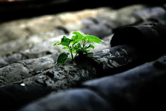 渴望成功,不要只是想想而已_騰訊新聞