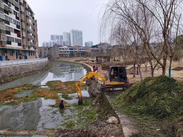 2月18日,云梦县城区南门河吴禄贞公园段,工人正在打捞河道枯黄的水草.