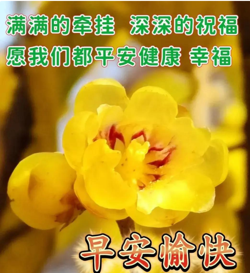 早上好圖片大全祝大家健康每天樂吉祥安康