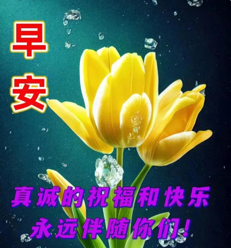 微信問候朋友早上好圖片大全祝福美好的一天