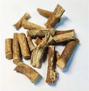 五指毛桃为什么被称为"南芪""广东人参"?