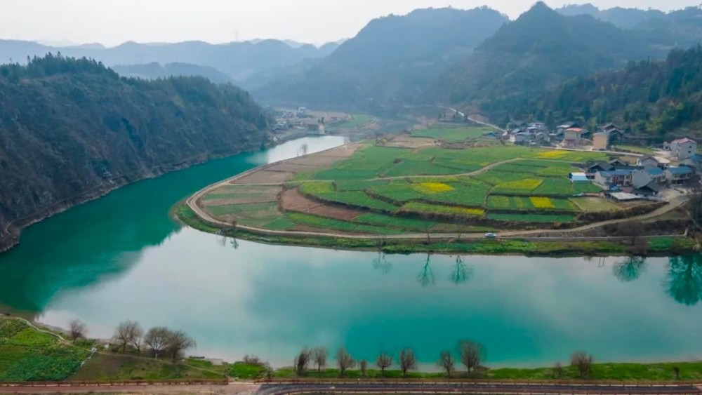 春回大地 风景美图片