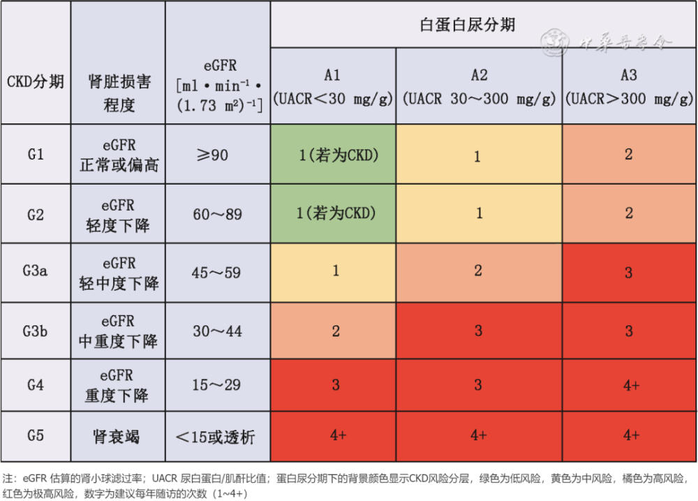 《中国糖尿病肾脏病基层管理指南》重磅发布！eGFR＜45，这些降糖药需减量_腾讯新闻