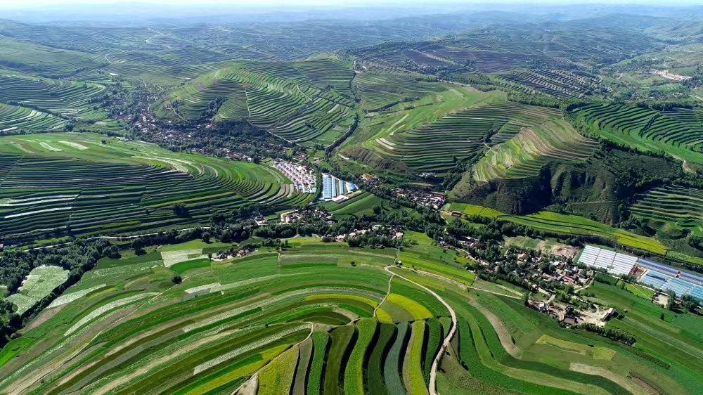 希望从这里升腾梦想从这里起航走进通渭县马营镇是这片土地的激扬旋律