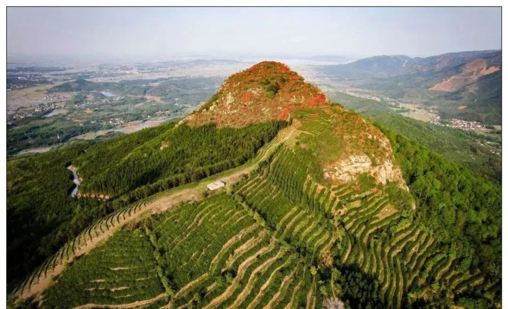 春游芜湖三公山游记轻吻春天的暖风和嫩绿