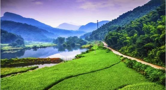 来源:芜湖市三公山风景区