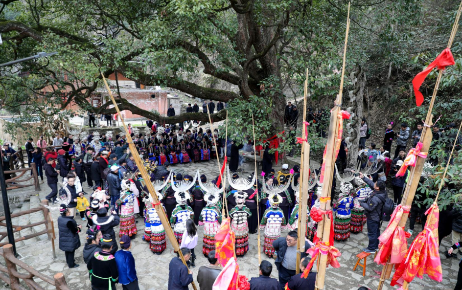 苗族二月二祭桥节图片