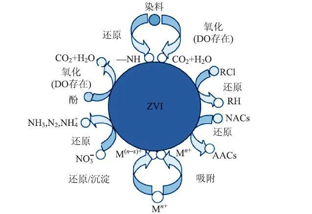 二价铁离子结构示意图图片