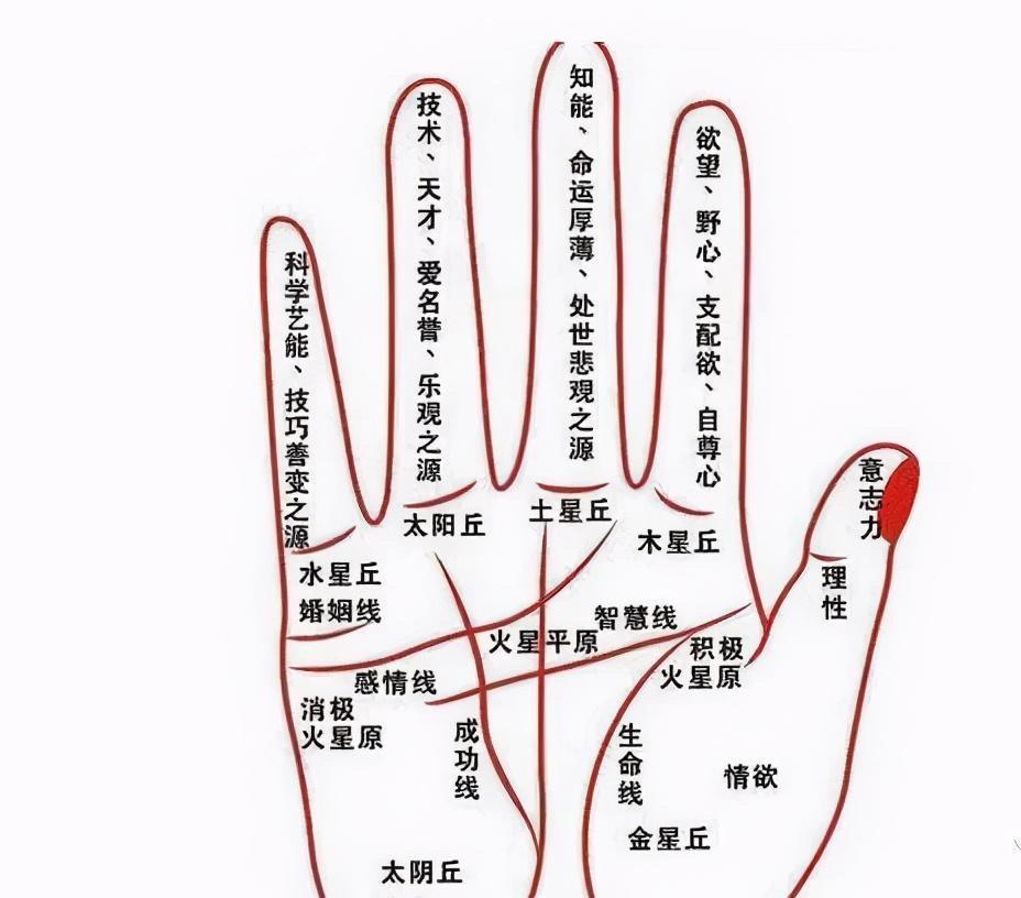 "贵人运"的4种手相,贵人多,运势顺,有没有一看便知!_腾讯新闻