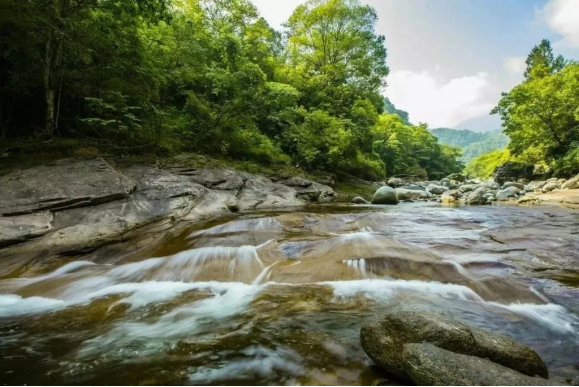 春遊蕪湖萬年臺景區邀你逛鴛鴦谷賞新月湖探牛鼻洞鑽