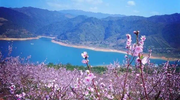 05资兴白廊乡桃花岛桃花木子岭公园赏桃花木子岭公园位于北湖区七里洞