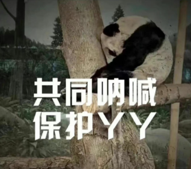 丫丫，让我们帮你早点离开魔鬼国，回家！_腾讯新闻