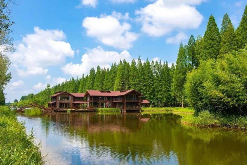 东台黄海森林公园喜登携程口碑榜!_腾讯新闻