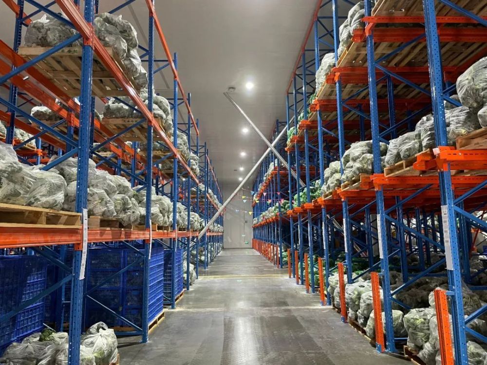 南雄打通农产品冷链最后一公里促进现代农业发展