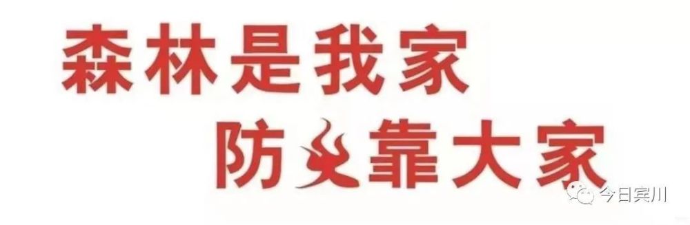 华侨新苑是小产权吗（【我为群众办实事】小产权大民 华侨社区居民办证不再“难”）