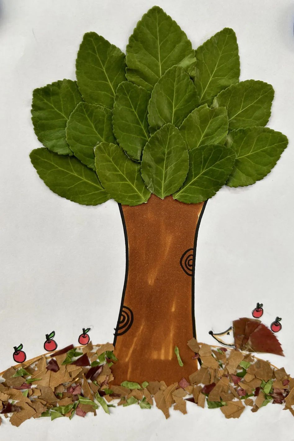 把春天搬进课堂总共分几步看峰峰学生的创意秀