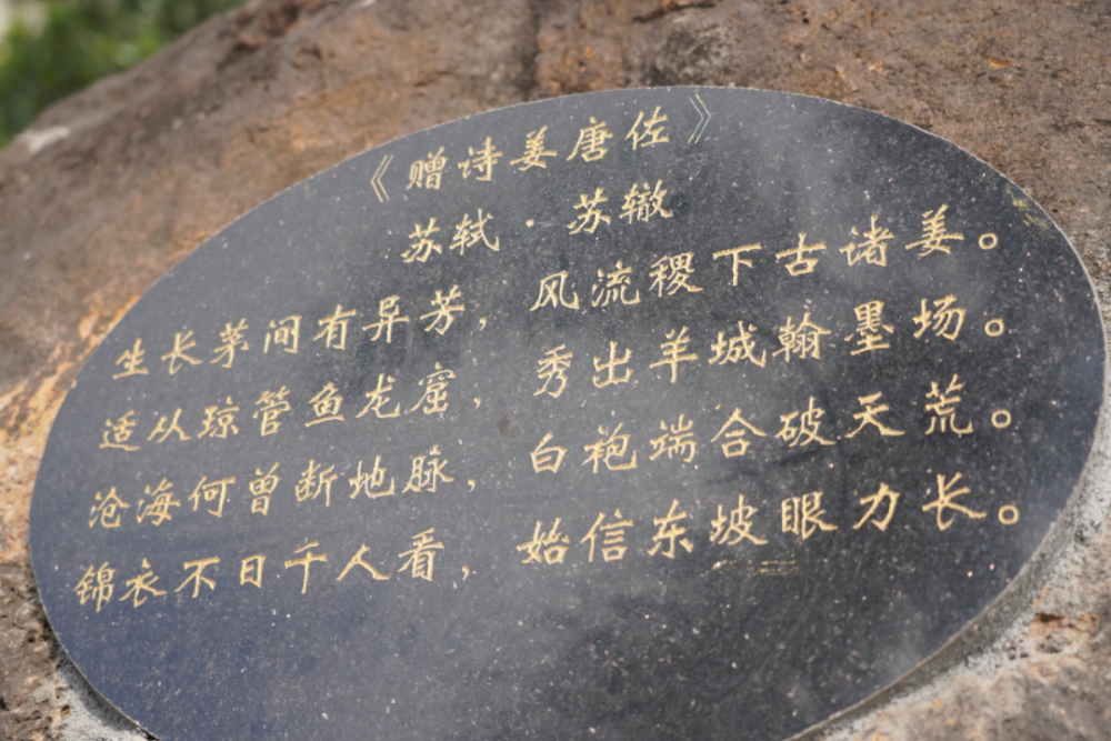 苏东坡以姜唐佐有中州士人之风,"甚重其才",赠诗道:"沧海何曾断地脉