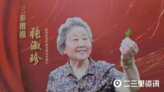 三秦楷模张淑珍扎根秦岭60多年南茶北移改写了千年的茶叶栽培历史