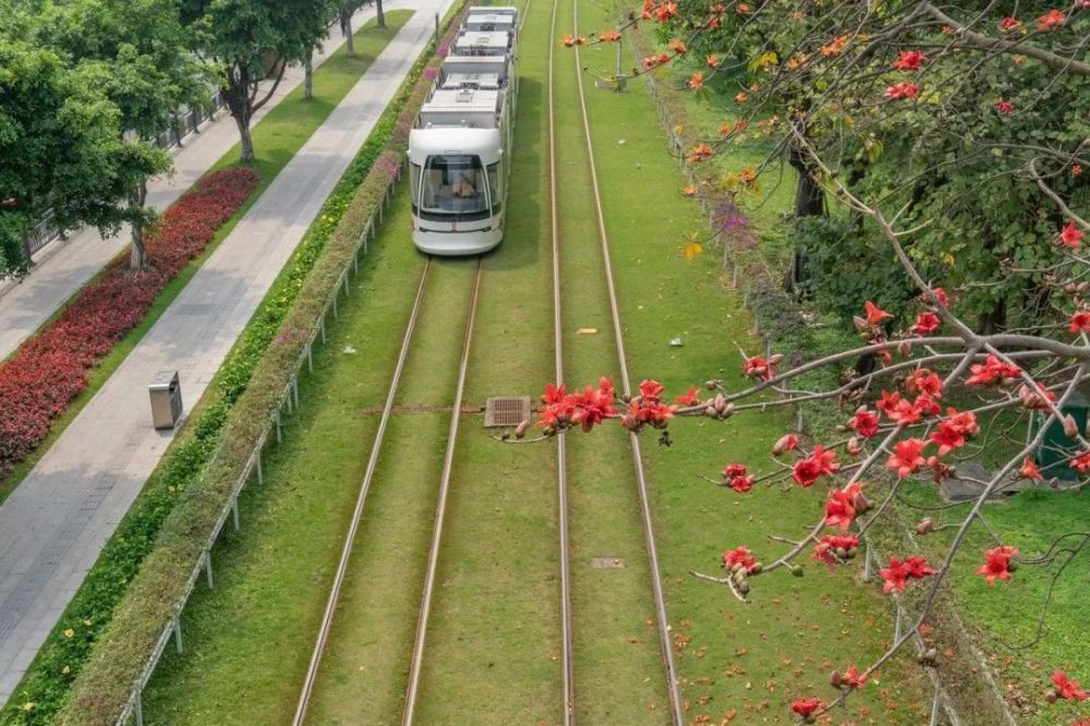 百步梯)-中山紀念堂-海珠廣場-沿江西路-江南大道-曉港公園-漢溪大道