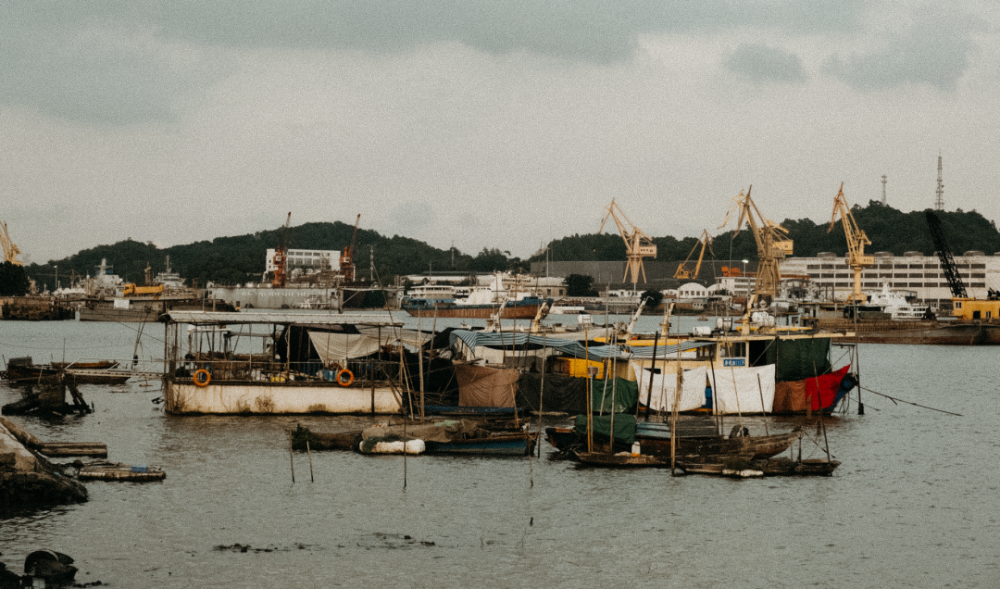 渔民新村:风浪越大,鱼越贵!_腾讯新闻