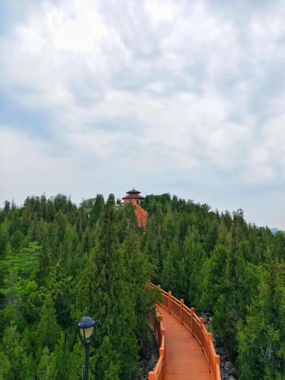 大连景点丨椒金山山体公园_腾讯新闻