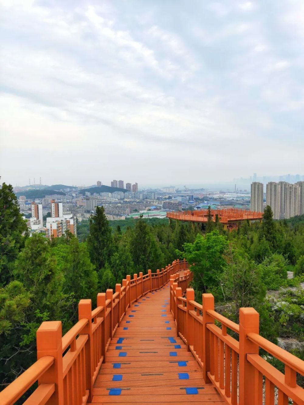 大连景点丨椒金山山体公园