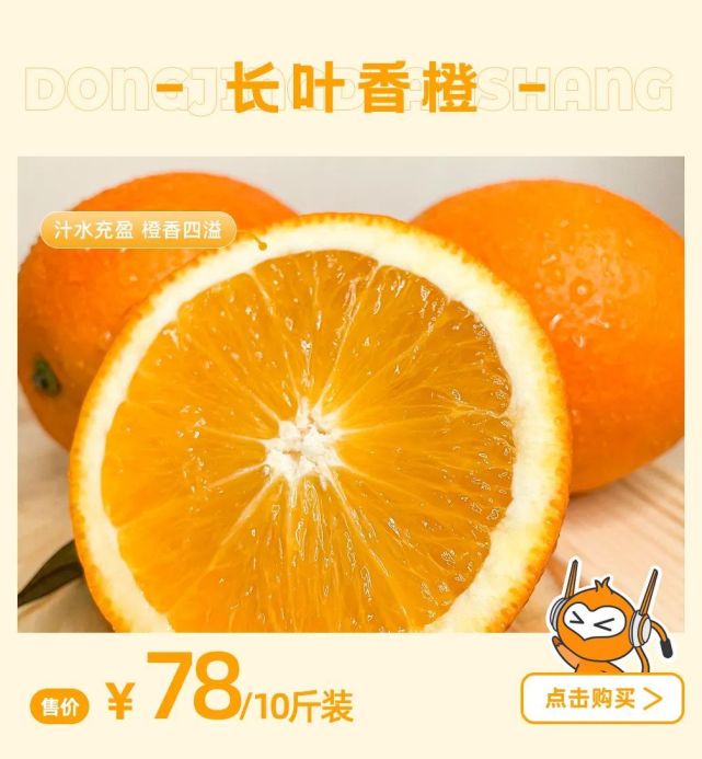 汁水充盈,橙香四溢,挂果保鲜时间长的长叶香橙