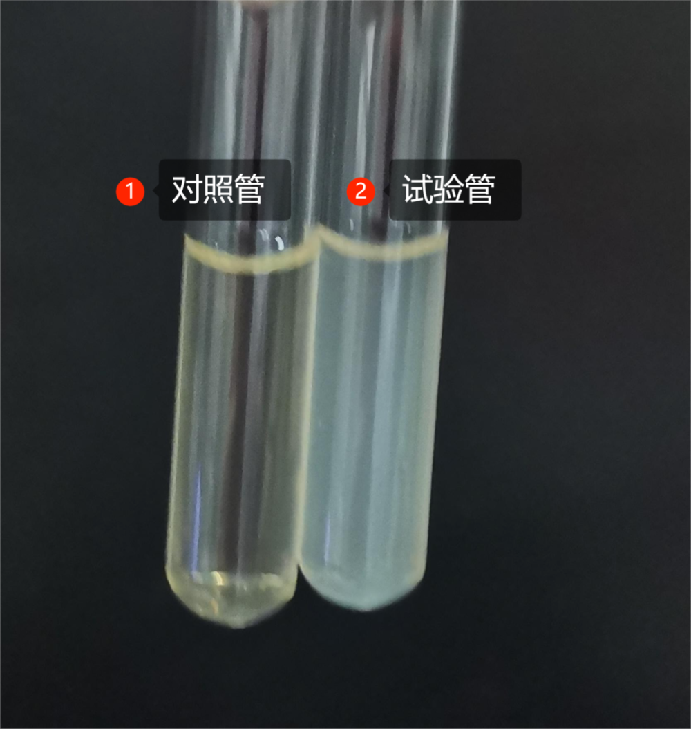 这种手工检测的方法已经很少见,笔者像"寻宝"一样将磺基水杨酸试剂在
