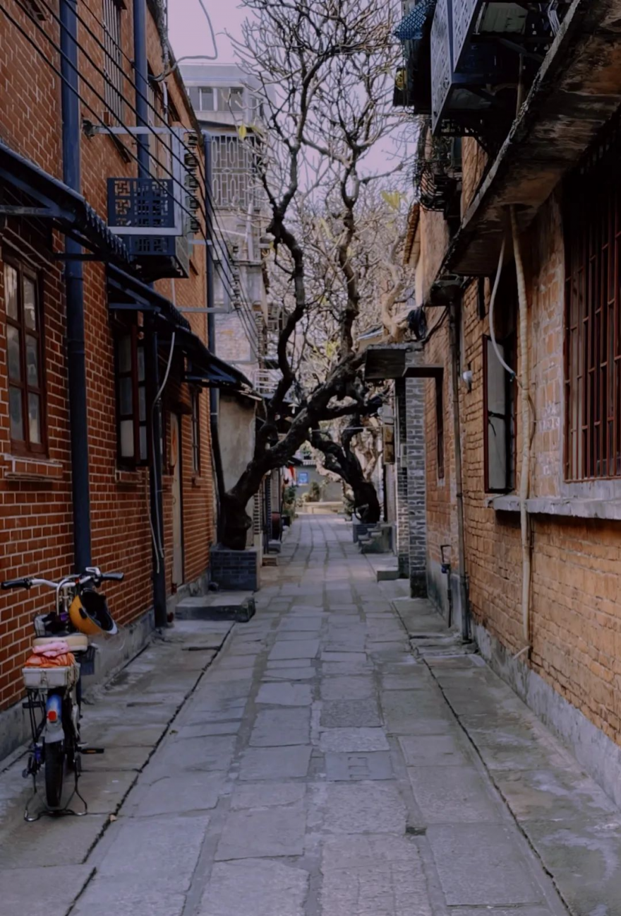 到佛山逛禅城狂飙火老街活来禅城打卡百年老街