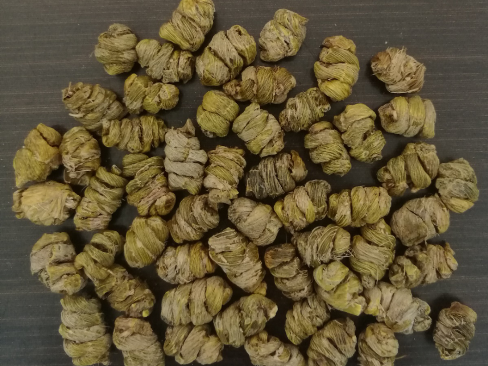 浙江首批公布温州这些道地药材你都认识吗