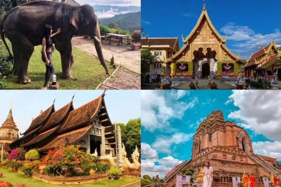东南亚自驾游旅行社(东南亚自驾游旅行社有哪些)