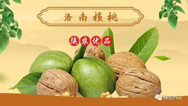 核桃仁十大品牌(核桃仁哪个牌子好)